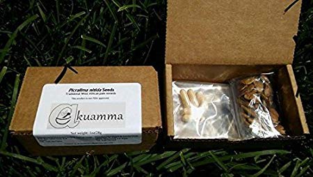 Picralima nitida (Akuamma) Seeds 1oz Box plus 5 caps free!