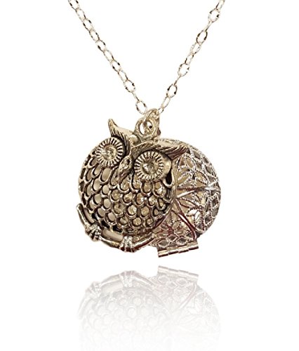 Owl Charm Silver-tone Aromatherapy Necklace Essential Oil Diffuser Locket Pendant Jewelry w/reusable felt pads!