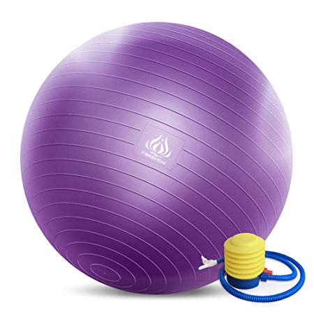 Forbidden Road Exercise Yoga Ball (45CM-85CM, 4 Colors) 400 lbs Anti-Burst Slip-Resistant Yoga Balance Stability Swiss Ball for Fitness Exercise with Free Air Pump