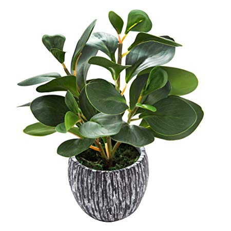 AlphaAcc Mini Potted Artificial Plants Real Looking Plastic Fiddle Leaf Fig Plant with Rustic Black Cement Planter for House Office Desk Decor