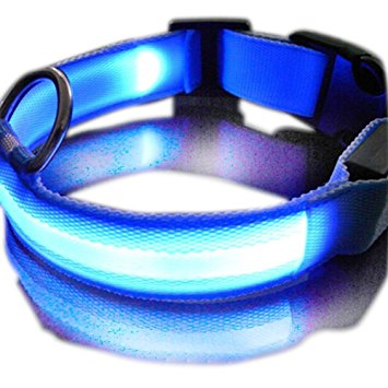SUKRAGRAHA New Super Bright Nylon LED Dog Night Safety Collar Flashing Light up