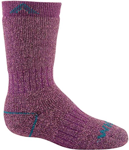 Wigwam Youth 40 Below II F2035 Sock