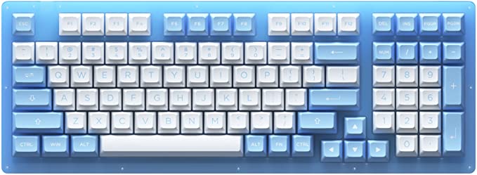 EPOMAKER AKKO ACR98 Doll of The Princess 98 Keys Hot Swappable RGB Wired Mechanical Gaming Keyboard with Acrylic Translucent Case, Extra ASA PBT Keys Set for Mac/Win (AKKO CS Jelly Blue Switch)