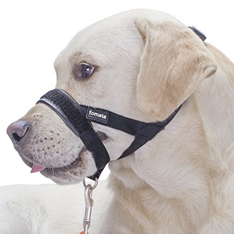 Dog muzzle, Quick fit gentle head collar walk training loop stop pulling halter