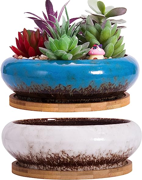 ARTKETTY Succulent Plant Pots, Large Succulent Plant Pots with Drainage Set of 2, Shallow Bonsai Pots with Trays Flower Plant Container Bowl Ceramic Pots for Indoor Outdoor Cactus Plants