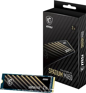 MSI SPATIUM M450 PCIe 4.0 NVMe M.2 2TB Internal SSD PCIe Gen4 NVMe (SPATIUM M450 PCIe 4.0 NVMe M.2 2TB)