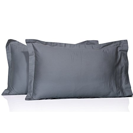 100% Egyptian Cotton 450 Thread Count 2 Pc Pillow Shams Solid Pattern All Size & Colors ( Standard , Silver Grey)