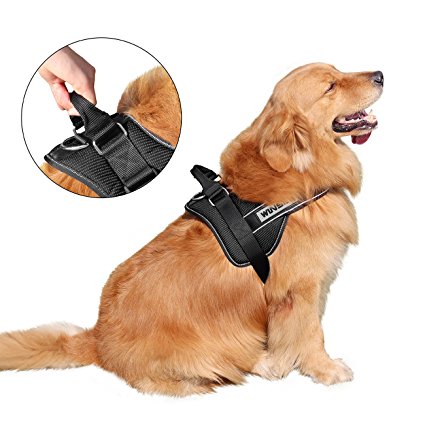 No-Pull Dog Harness Vest, WINSEE Reflective Adjustable Dog Harness Soft Padded with Handle for Medium Large Dog(L)