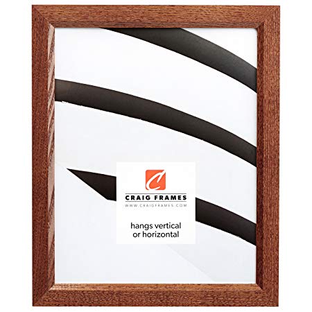 Craig Frames 24x30 Picture Frame, Solid Wood.84-Inch Wide, Honey Brown (8261610)