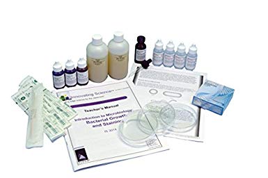 Innovating Science Introduction to Microbiology: Bacterial Growth and Staining Kit
