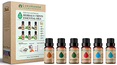 GuruNanda Herbals   Mints Essential Oils Set - Pure & Natural Therapeutic Grade Oil for Aromatherapy Diffuser - Clove - Peppermint - Rosemary - Invigorate - Breathe Easy - Tranquility