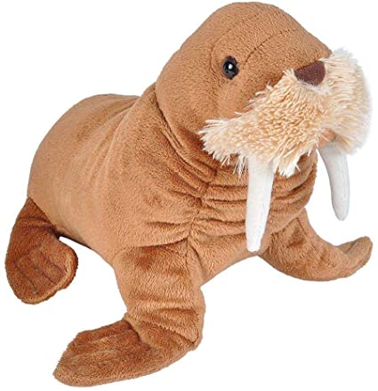 Wild Republic Walrus Plush Soft Toy, Cuddlekins Cuddly Toys, Gifts for Kids 20 cm