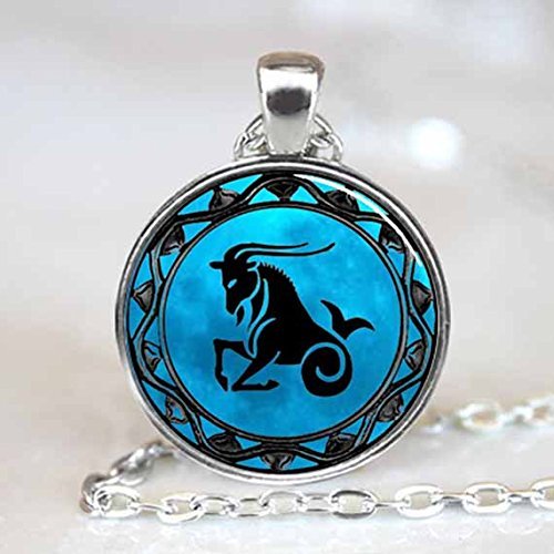 Capricorn Zodiac Astrology Horoscope Jewelry Necklace Pendant (PD0339)
