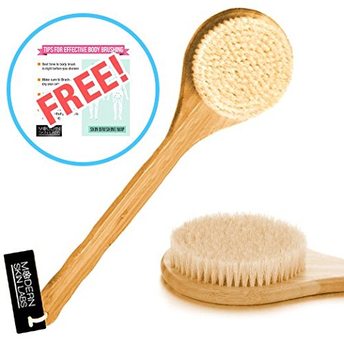 Best Brush for Dry Skin and Body Brushing - Long Handle Natural Boar Bristles Bamboo Body Spa Brush - Dry Body Brush for Cellulite Exfoliation Detox and More - Free Skin Brushing Visual Guide