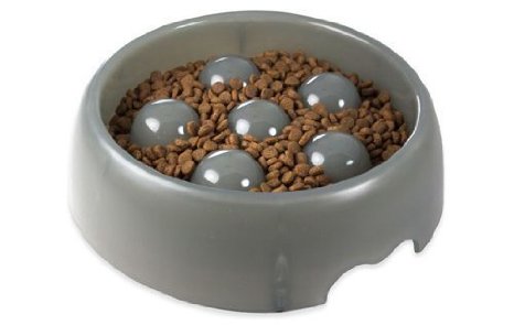 Greedy Pup-Best Slow Eating Bowl on The Market