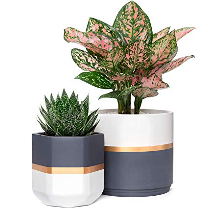 Mkono Ceramic Flower Pot Modern Garden Planters Indoor Outdoor Geometric Plant Containers with Drainage, Gold and Grey Detailing for All House Plants, Herbs, Flowers, Set of 2 (Plants NOT Included)