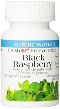 Eclectic Institute - Black Raspberry Freeze-Dried, 300 mg, 90 capsules