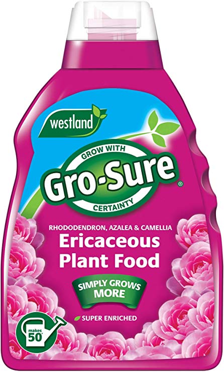 Gro-Sure Super Enriched Ericaceous Plant Food, 1 L