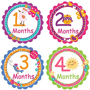 PAMBO Monthly Baby Stickers 16Pcs | Waterproof Milestone Newborn Stickers for Boys & Girls | Ideal For Scrapbooking, Important Events & Celebrations, Photo Keepsake, Craft Projects & Baby Shower