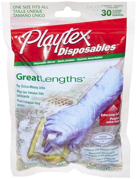 Playtex Gloves Disposables GreatLengths Gloves:30 Count