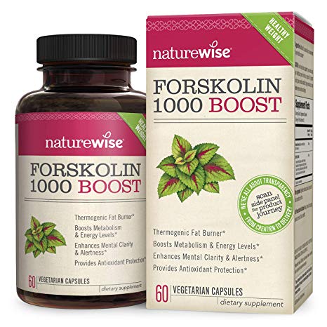 NatureWise Premium Forskolin 1000 Boost | Highest Concentration Pure Active Forskolin for Weight Loss   Natural Fat Burner Blend with Green Tea, Yerba Mate, Guarana & Coleus Forskohlii | 60 capsules