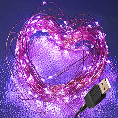 BrightTouch LED Fairy Lights - String, Rope (Purple)