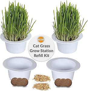 K&H Pet Products Cat Grass Grow Station Growing Cup Refills for K&H EZ Mount Products - Healthy Home Grown Grass Cat Toys for Bored Indoor Adult Cats, Farmed in USA, Non-GMO - Refill ONLY - 2 Pack