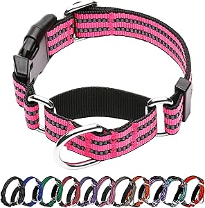 Hikiko Martingale Dog Collars Reflective Nylon Dog Collar with Quick Release Buckle Adjustable Training No Slip Dog Collar (Large, Hot Pink)