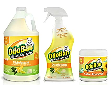 OdoBan Disinfectant Odor Eliminator and All Purpose Cleaner with Solid Odor Absorber for Home and Small Spaces, Citrus Scent