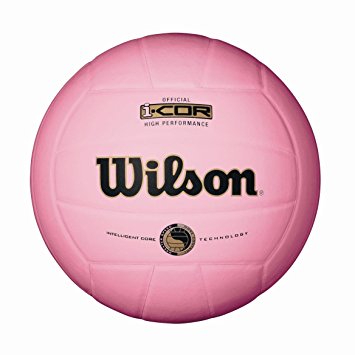 Wilson I-Cor Mini Volleyballs