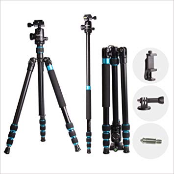 Regetek 63" Professional DSLR Camera Tripod Monopod with 360 Panorama Ball Head for Canon Nikon Sony Olympus DV Gopro with Carry Bag/Phone Adaptor/Gopro Mount