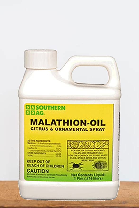 Southern Ag 07682 Malathion-Oil Citrus & Ornamental Citrus and Ornamental Spray, 16oz
