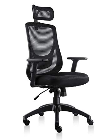 VIVA Office Mesh Chair Ergonomic High Back Chair with Adjustable Headrest and Armrest (Viva1168F1)