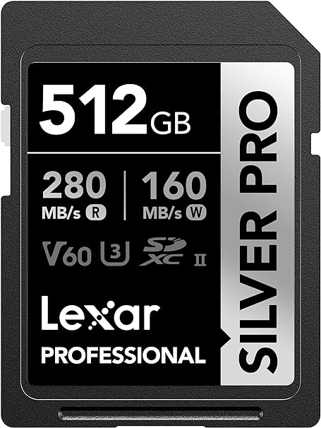 Lexar Professional 512GB Silver PRO SDXC UHS-II Memory Card, C10, U3, V60, Full-HD & 4K Video, Up to 280MB/s Read, for Professional Photographer, Videographer, Enthusiast (LSDSIPR512G-BNNNU)