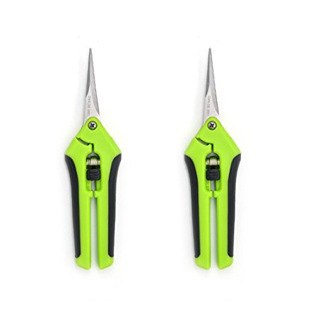 2 Pack Curved Tip Trimming Scissors with Titanium Coated Blades, Gardening Hand Pruner Pruning Shear by HiHydro