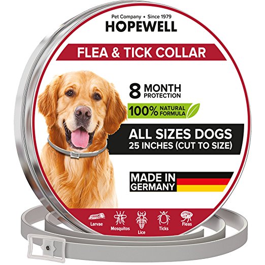 Hopewell Dog Collar