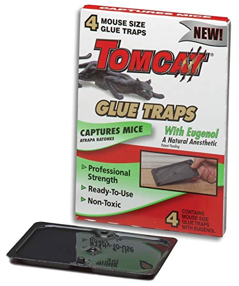 Tomcat 100-32411-8 4-Count Mouse Glue Traps With Eugenol ((2Pack)