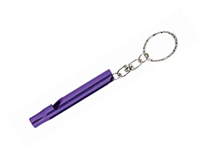 Small Purple Emergency Whistle / Survival Whistle Key Chain