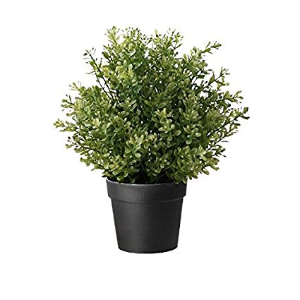Ikea Artificial Potted Plant, Thyme, 9.5 Inch