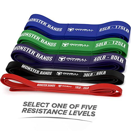 Pull Up Assist Band, Premium Stretch Resistance Band - Mobility Band - Powerlifting Bands - Extra Durable and Heavy Duty - Works with Any Pullup Station - SINGLE BAND - SOLD INDIVIDUALLY