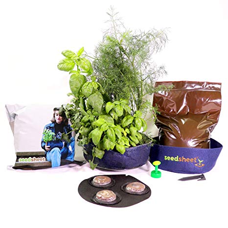 Seedsheet, Grow Your Own Mini Herbs Kit, Container Garden, Organic Seed Pods, Sweet Basil, Cilantro, and Dill, As Seen on Shark Tank
