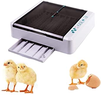 36 Temperature Control Egg Incubators, Digital LED Displays Automatic Poultry Hatcher Automatic Turning with Light for Chickens Ducks Goose Birds Pigeon Quail