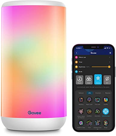 Govee Smart Table Lamp, App Control RGBIC Bedside Lamp with 37 Scene Modes and Music Mode, Dimmable Warm White Light Lamp for Bedrooms and Living Room, Works with Alexa & Google Assistant