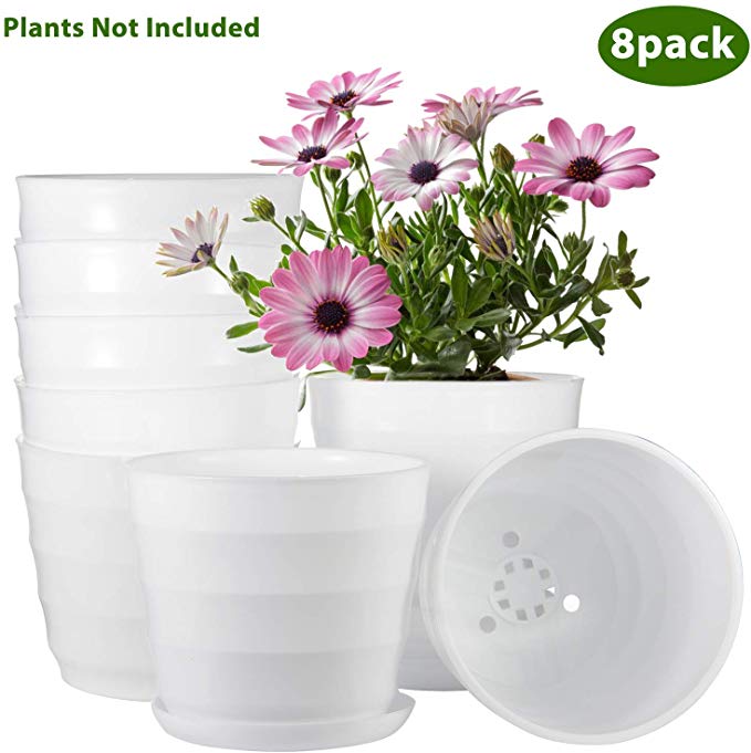 Plant Pots Indoor, ZOUTOG 6 inch Plastic Flower Planters with Drainage Hole and Tray, Pack of 8 - Plants Not Included