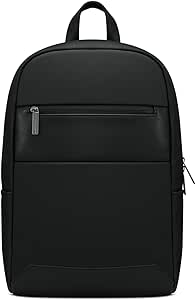 Lenovo Laptop (B500) -15L Capacity Padded Tablet & Computer Bag with Lock Zipper, Water-Resistant Backpack, Black, 15.6 Inch