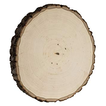 Walnut Hollow Basswood Round, Thick (11.5" to 13.75")