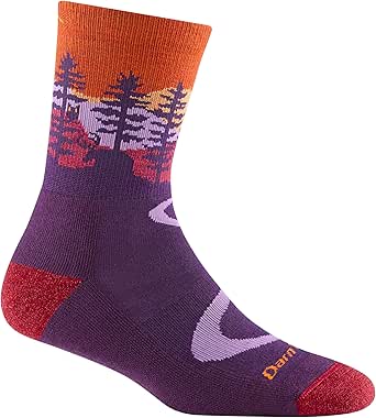 Darn Tough Women's Northwoods Micro Crew Lightweight Hiking Sock (Style 5013) -