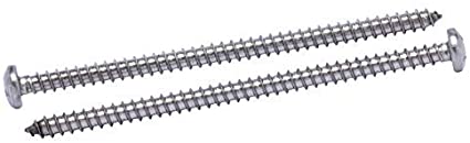 #12 X 4" Stainless Pan Head Phillips Wood Screw, (25pc), 18-8 (304) Stainless Steel Screws by Bolt Dropper