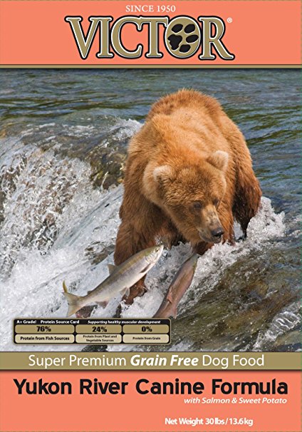 Victor Dog Food Grain-Free Yukon River Canine Salmon and Sweet Potato
