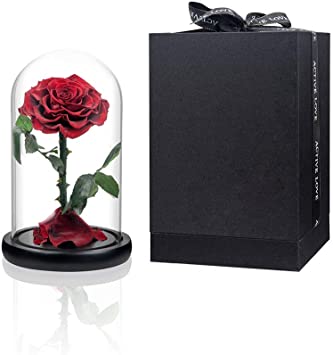 Preserved Roses Dark Red Roses Handmade Eternal Real Rose in Glass Dome, Roses Never Withered Gifts for Female, Valentine's Day, Mother's Day, Birthday, Christmas, Anniversary(9 inch)